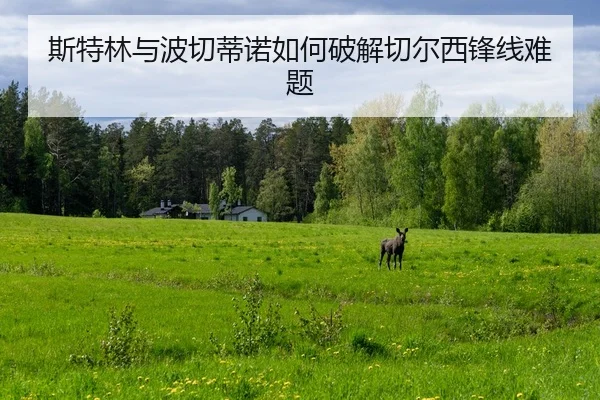 si-te-lin-yu-bo-qie-di-nuo-ru-he-po-jie-qie-er-xi-feng-xian-nan-ti-1-886.jpg